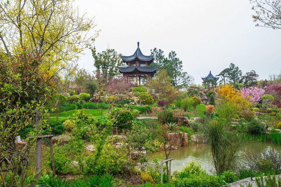  p data-id="tvhoqx9sge2a">梦华苑景区别名和凤·梦华苑,三叶