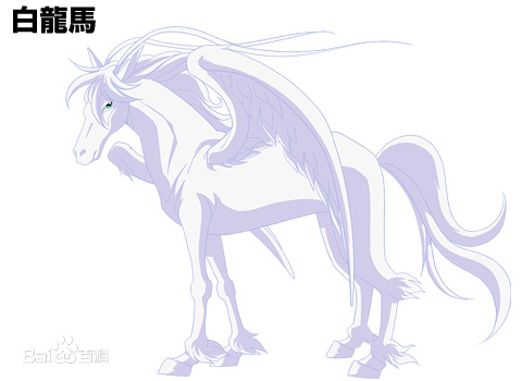 白龙马