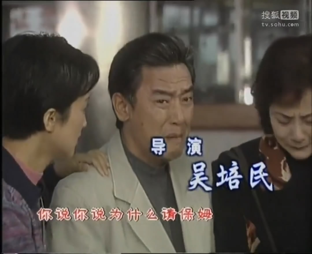 田教授家的二十个保姆