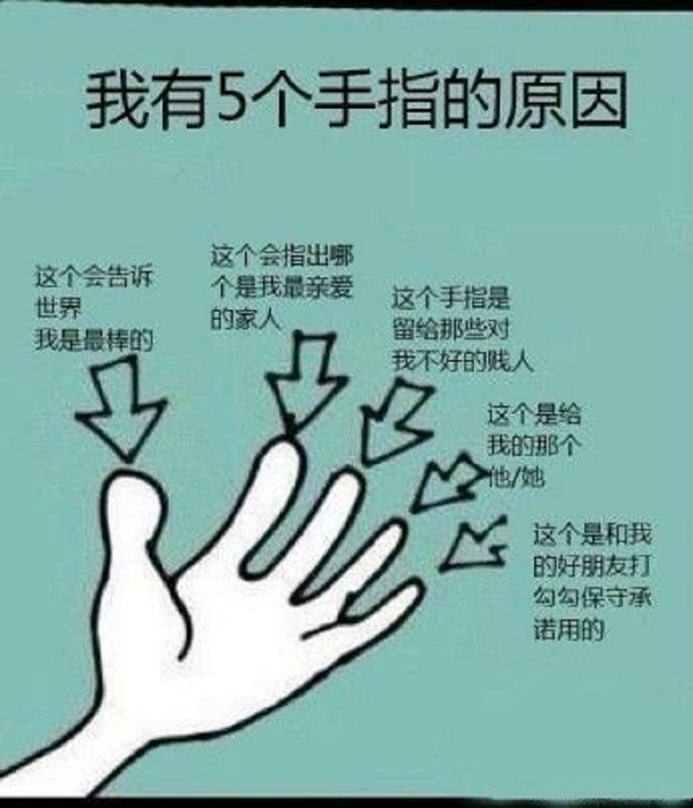  p data-id="go0dn8hony">看趣图,搞笑图片网站. /p>