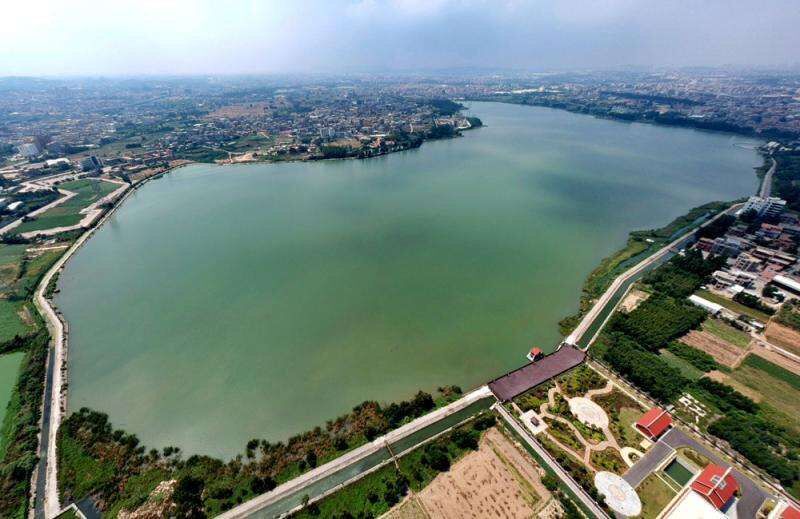  p>龙湖镇是 a target="_blank" href="/item/福建省泉州市/1025101"