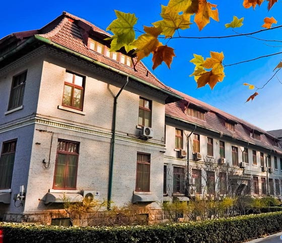 山东大学洪家楼校区