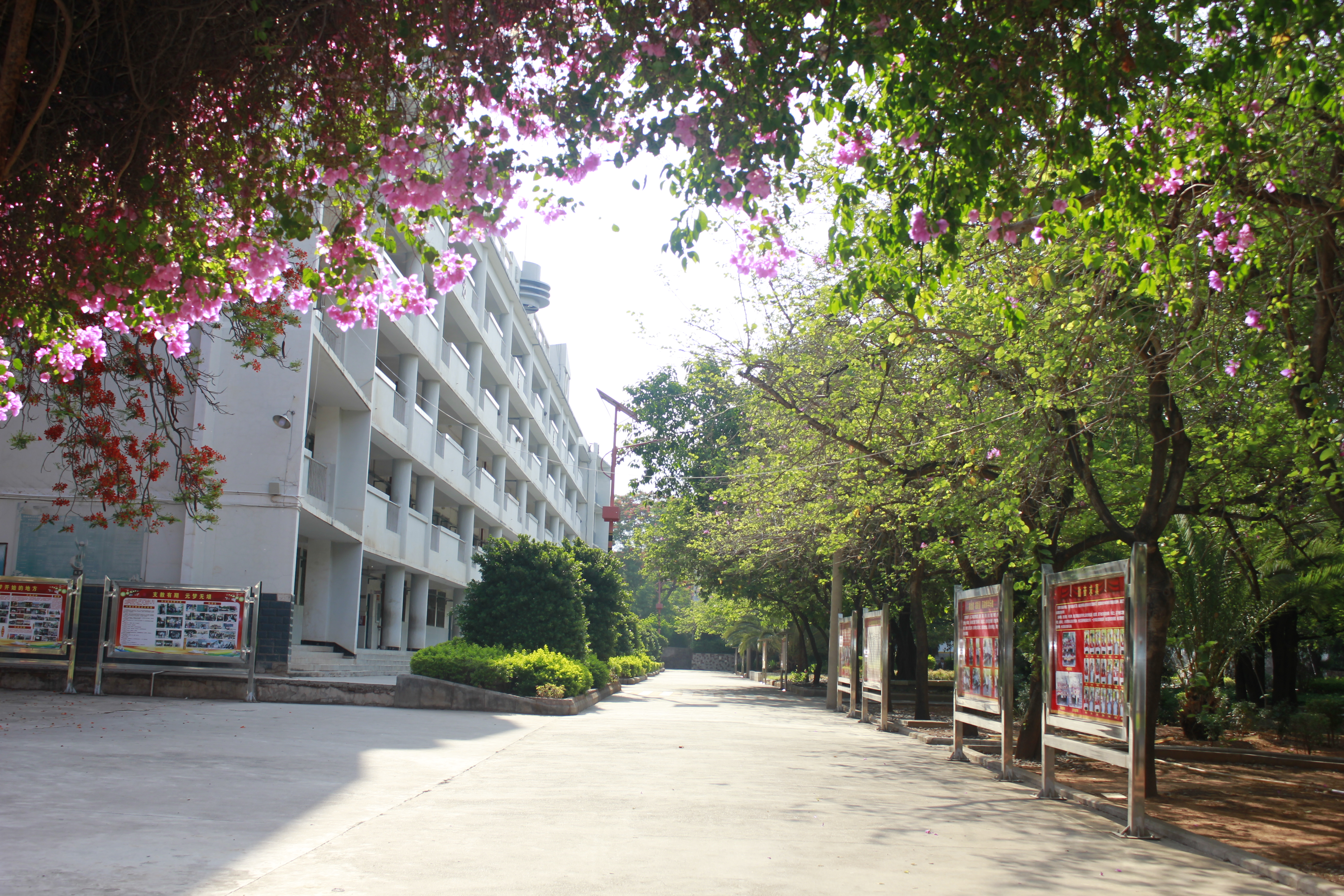 1 middle school /i>),简称"元谋一中",位于云南省 a target="_blank"