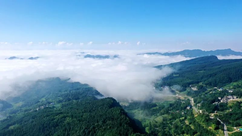  p data-id="t5d3w9mx5s5p">罗汉林(罗汉林景区