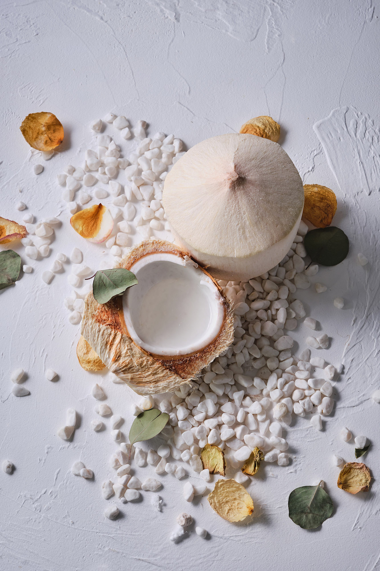 椰子果thecocoanuts(1929)