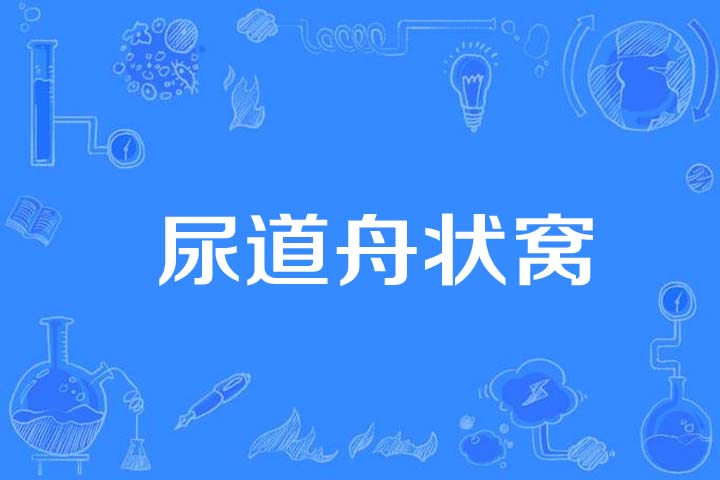  p>尿道舟状窝(navicular fossa of urethra)是2014年公布的人体解剖