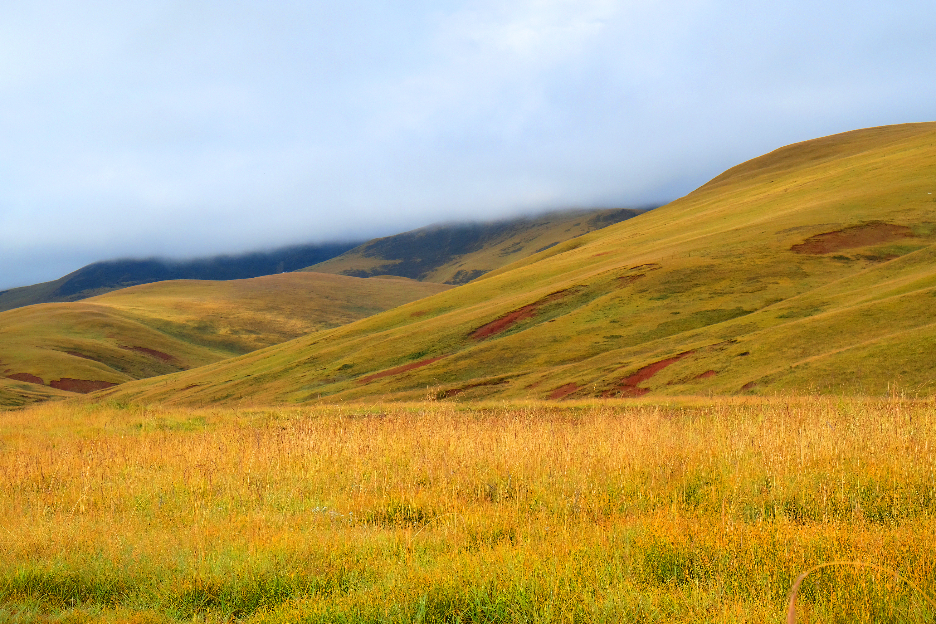  p>贡觉县,隶属 a target="_blank" href="/item/西藏自治区/242417"