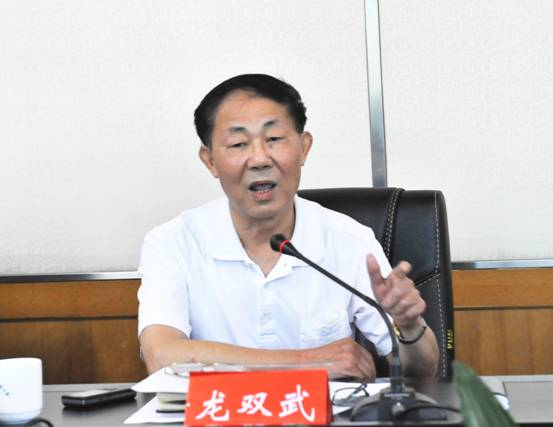 龙双武