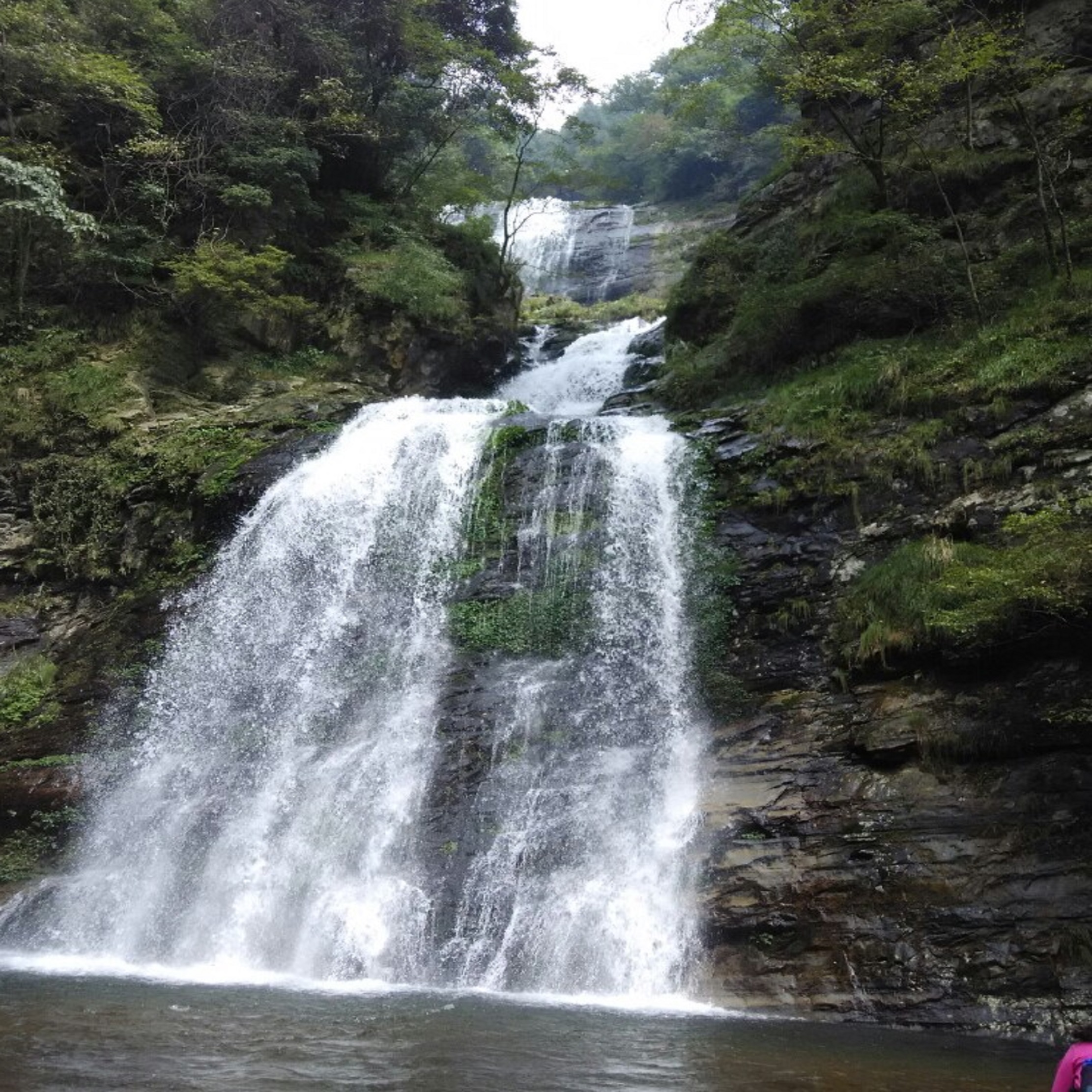 雷公山自然保护区