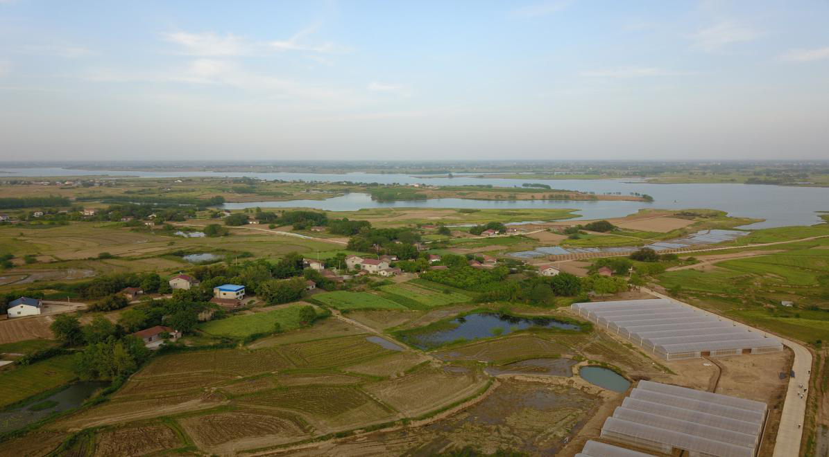 惠州市四季绿农产品有限公司