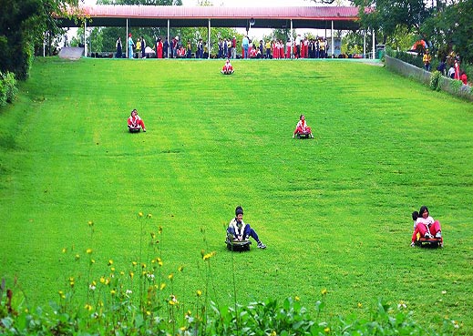 滑草场