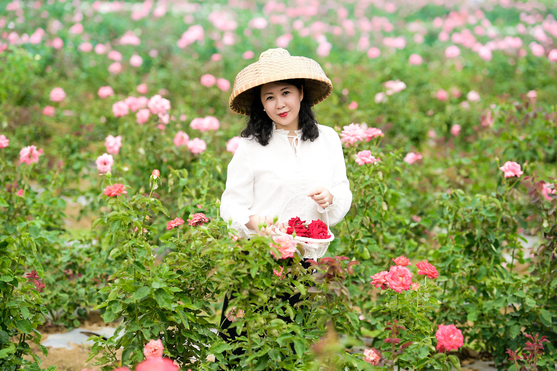 杨莹