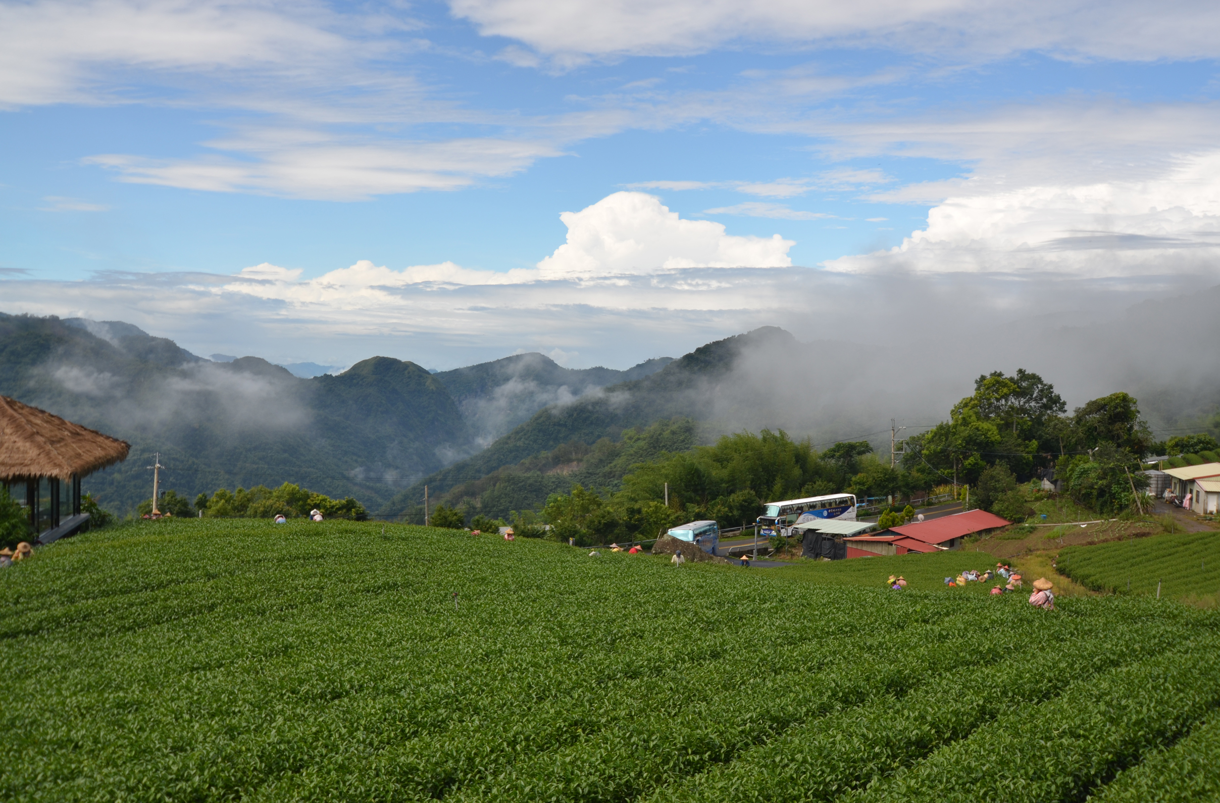  p>阿里山(ali mountain),位于 a target="_blank" href="/item/台湾
