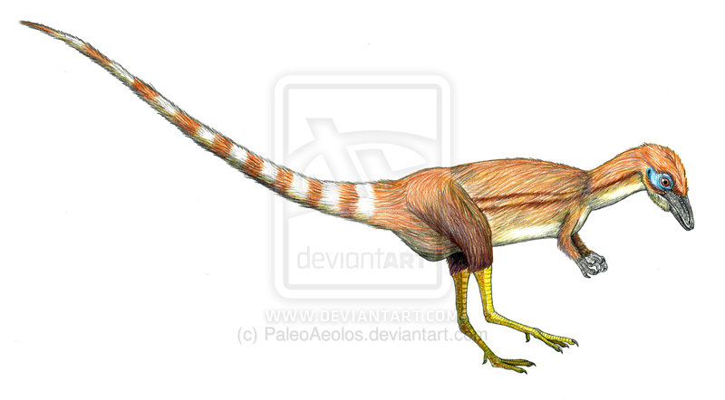  p>中华龙鸟生存于距今1.4亿年的早白垩世.