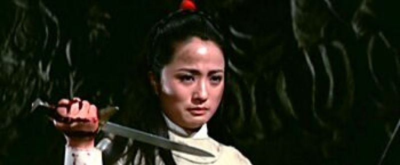 十二金牌》是程刚执导的一部动作武侠电影,洪金宝动作导演,焦姣,秦萍