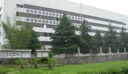 data-lemmaid="478382">株洲 /a>湘火炬火花塞有限责任公司为潍柴动力