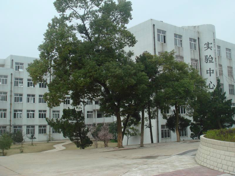 铜陵市第十五中学