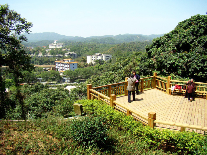  p>天鹿湖森林公园位于广州市黄埔区东北部,规划经营面积880公顷.