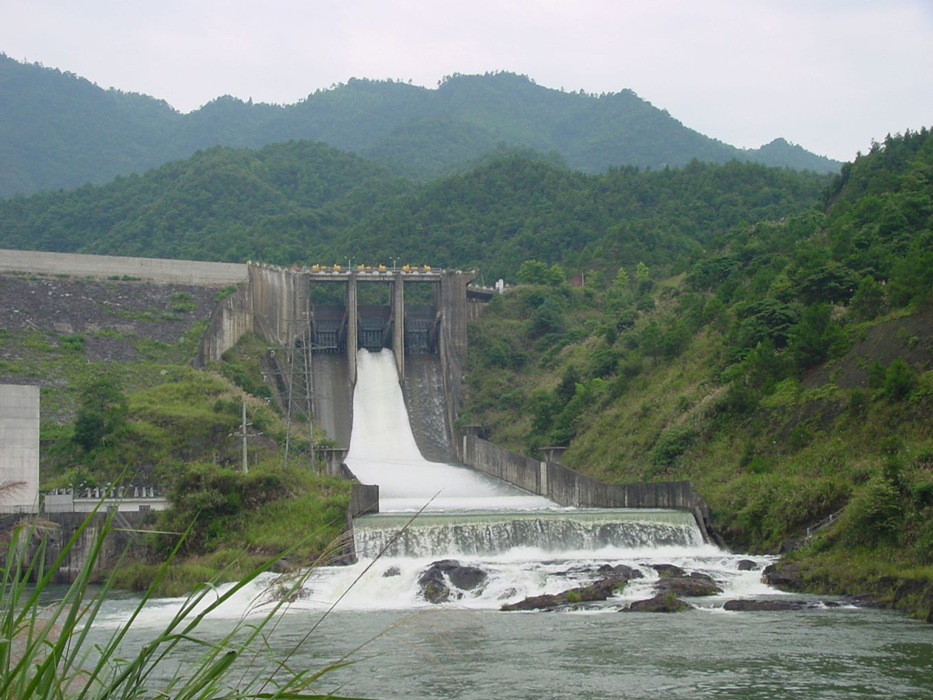 株树桥水库