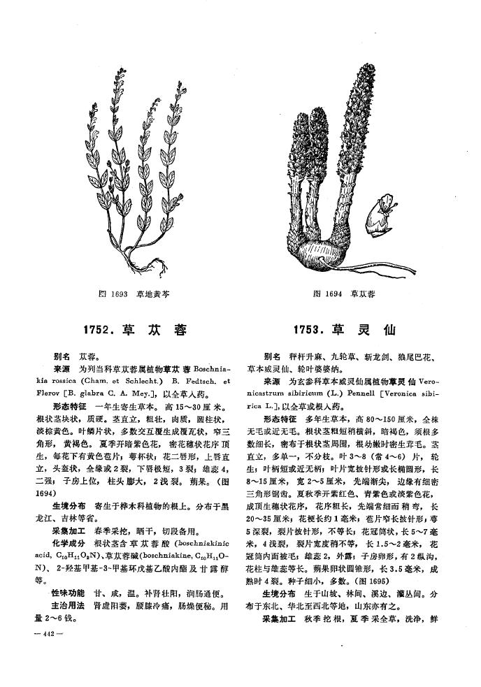 兔子拐棒