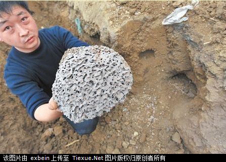 href="/item/蚂蚁/9770178" data-lemmaid="9770178">蚂蚁 /a>,蚁后的