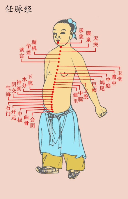 经络（科普知识）_百度百科
