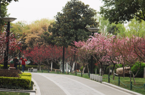  p>小桃园位于南京 a href="#" data-lemmaid="62006">下关 /a> a