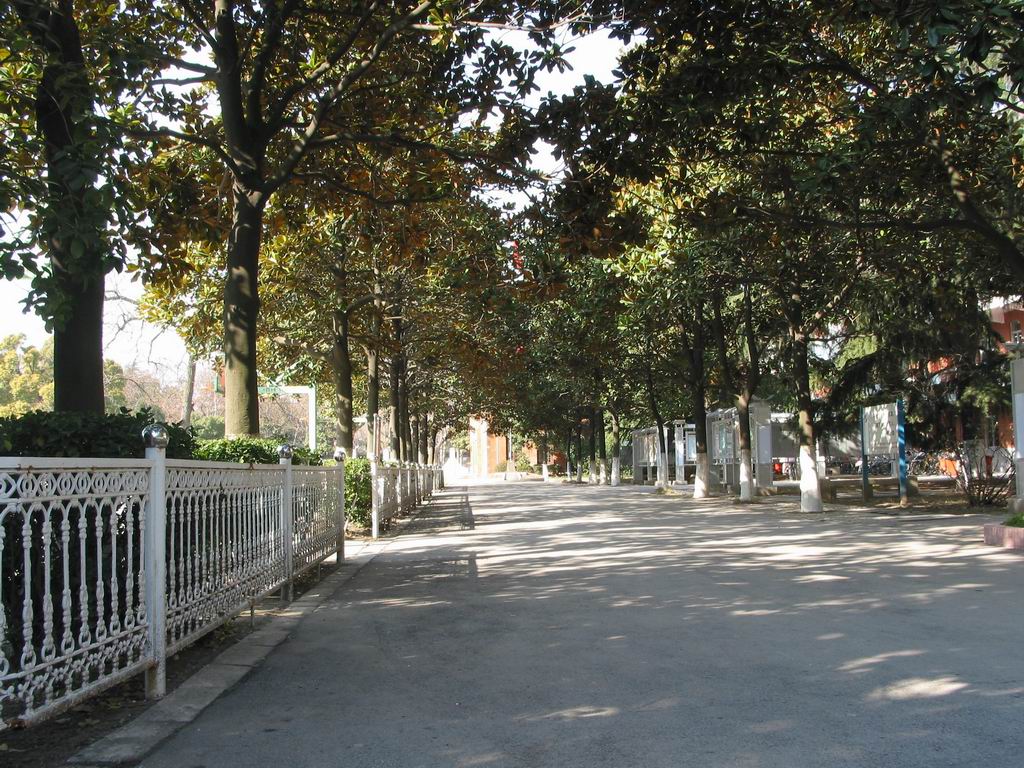  p>苏州市第五中学是一所在苏州市区学校中办学史最长的普通中等学校.