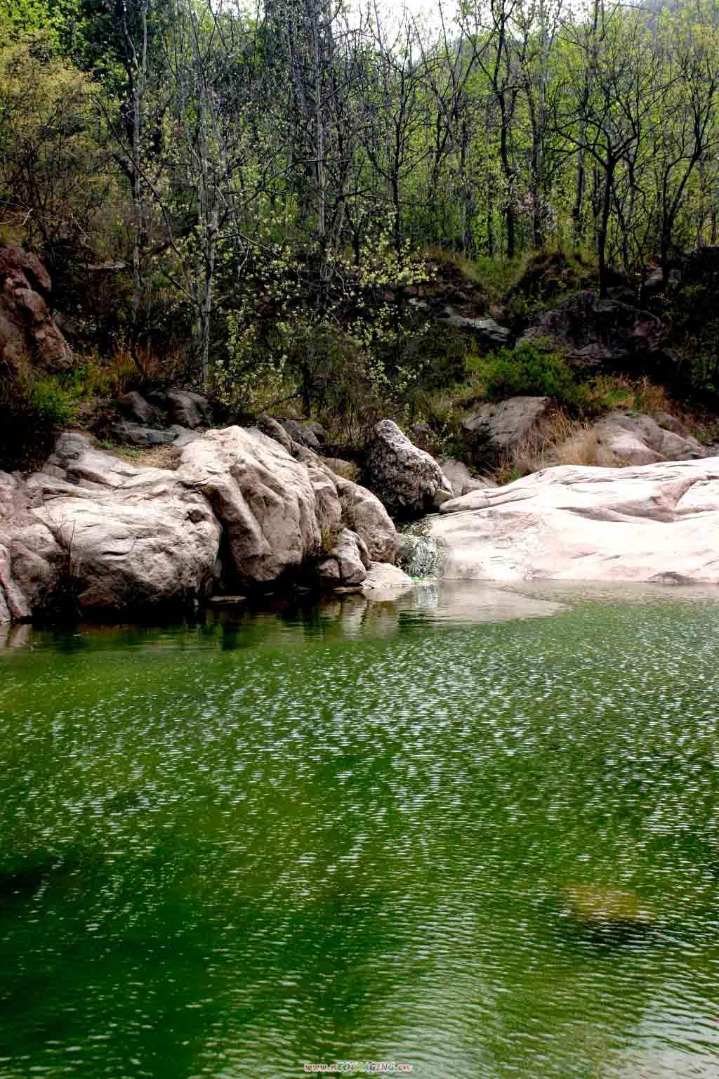 灵泉山森林公园