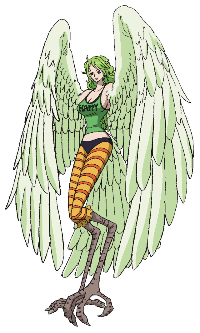 海贼团)是日本漫画《 a target="_blank" href="/item/海贼王/8904"