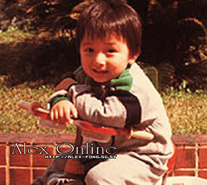  p>方力申(alex fong),1980年2月26日出生于香港,中国香港男演员,歌手