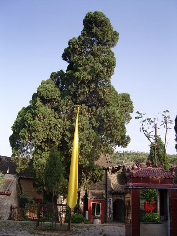 传说洛宁香山寺建于东汉永平十年公元67年,早于洛阳
