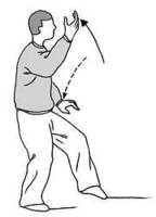  p data-id="gnbjllr8ev">白鹤亮翅,是太极招式之一.