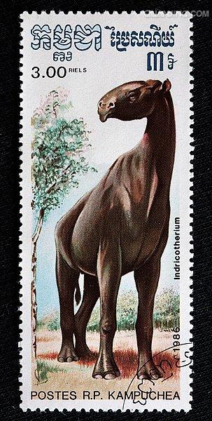 巨犀(indricotherium)