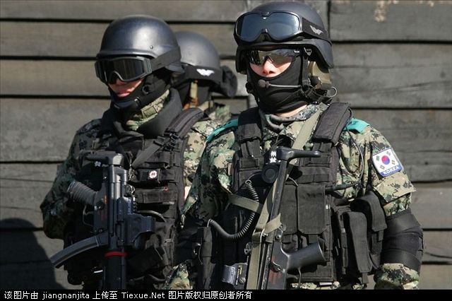  p data-id="gnxapzc0qm">707特种部队是韩国陆军特种作战司令部的 a