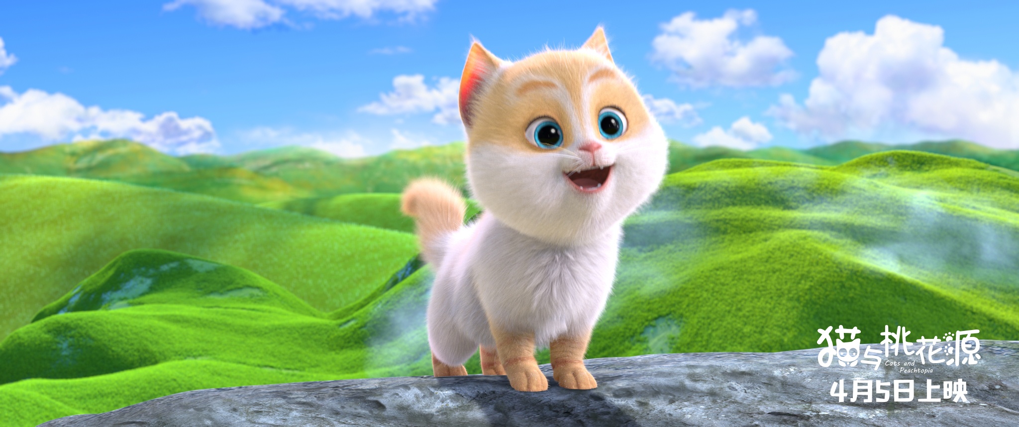 猫与桃花源
