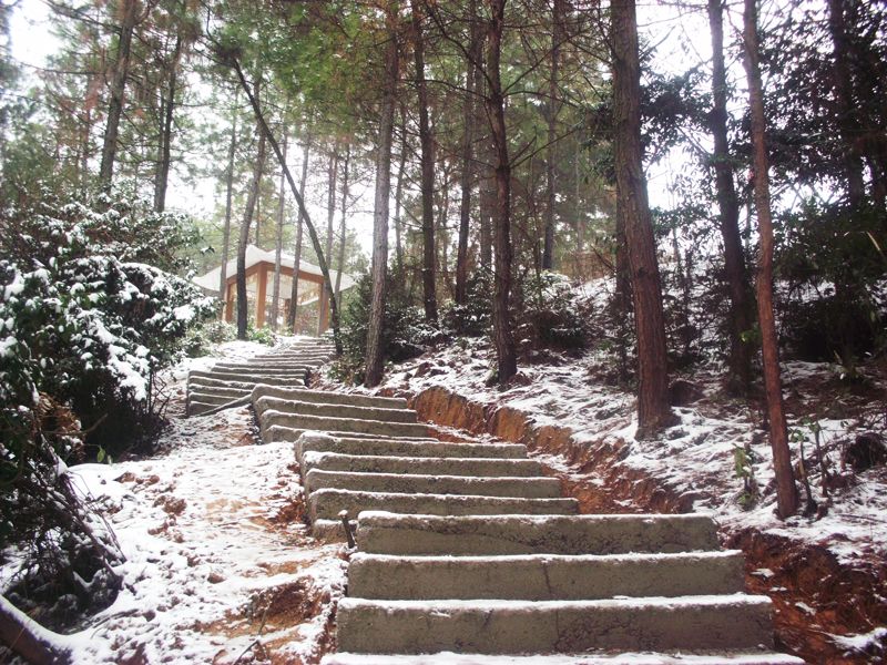 昭阳公园