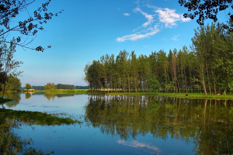 河南鹿邑惠济河国家湿地公园