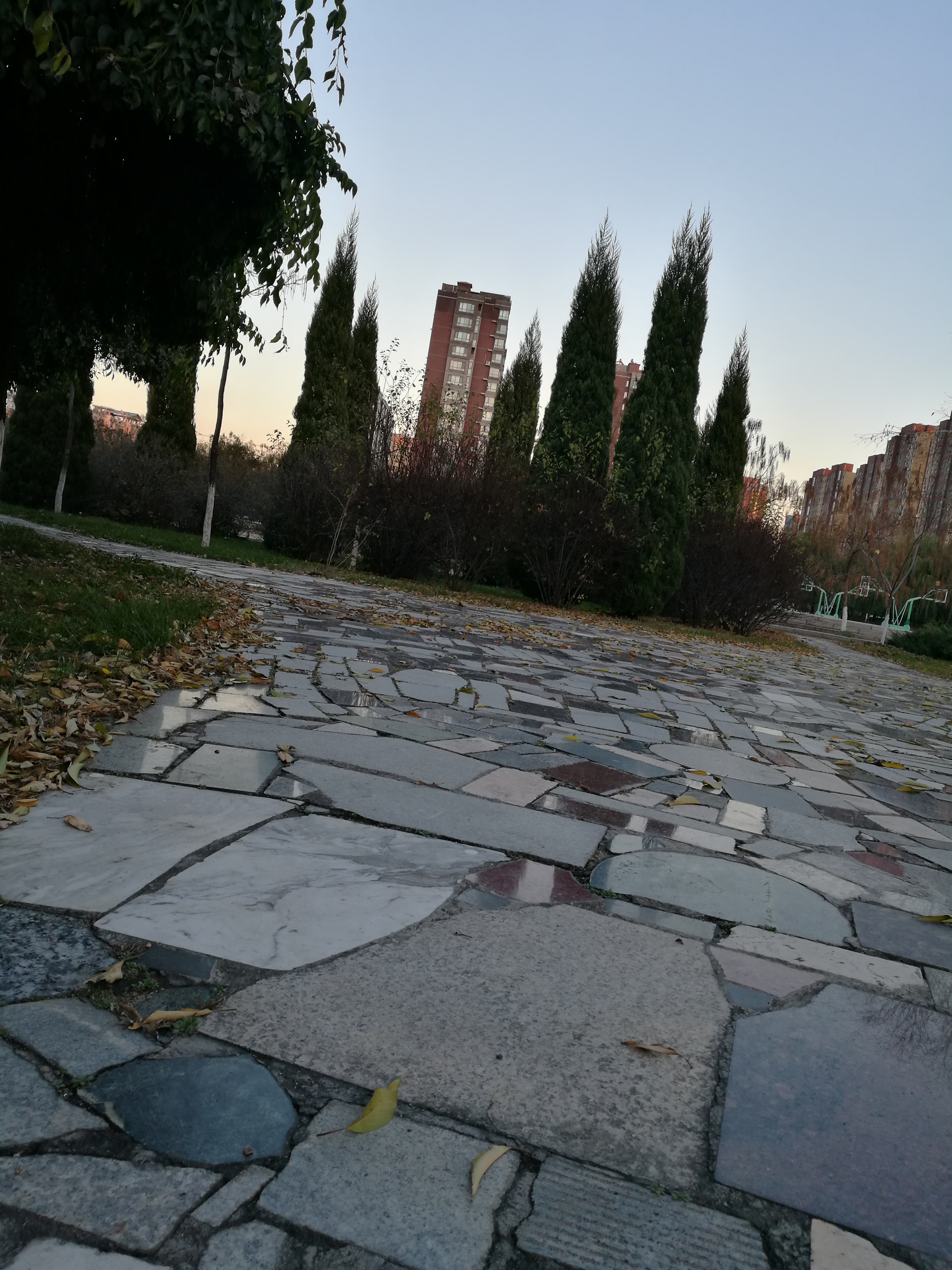 抚顺市第二中学简称抚顺二中,是辽宁省首批示范性高中之一,素有"