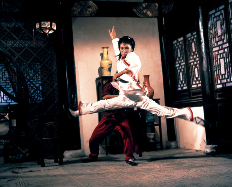 《南北狮王》是1981年徐虾,钱月笙导演的动作电影