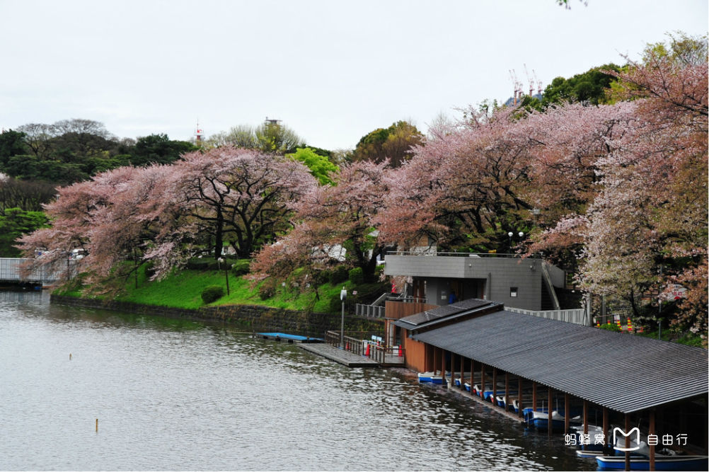 data-id="gnwmy8n17b">位于 a target="_blank" href="/item/靖国神社