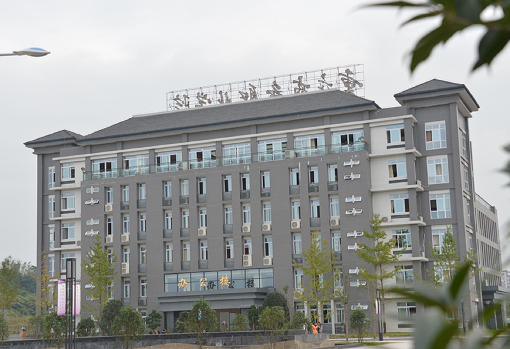 chongqing business vocational college