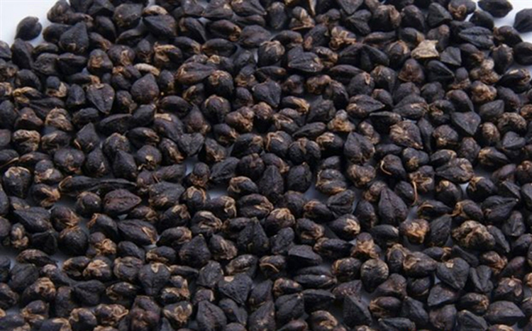  p>黑苦荞米是采用黑苦荞麦为原料加工制成米,是