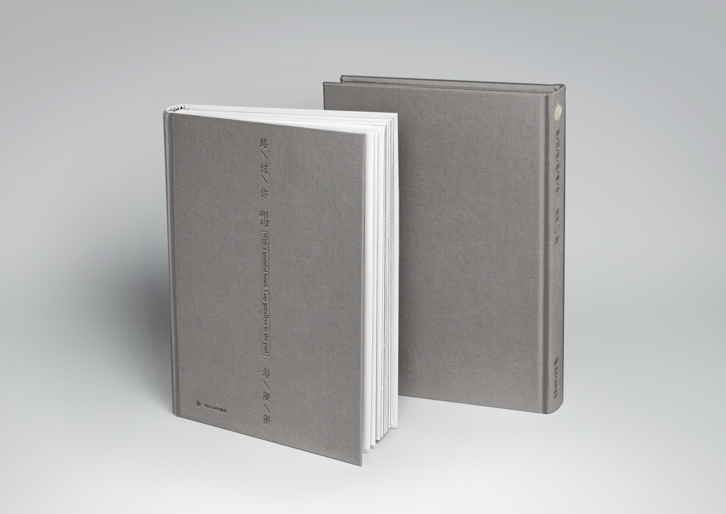 路过你,谢谢你:洛兵诗集