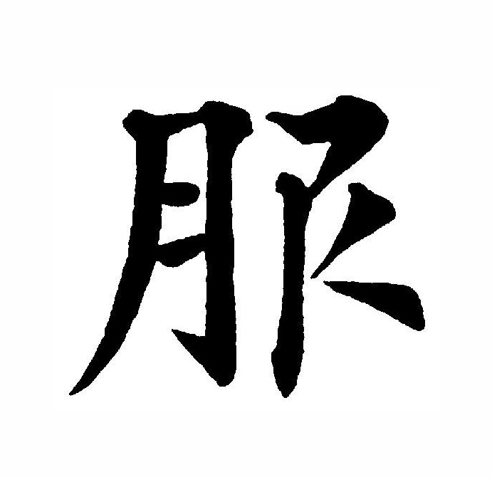  p data-id="gnbtfq477q">服(拼音:fú,fù)为汉语一级通用规范汉字