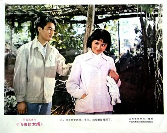 飞来的女婿
