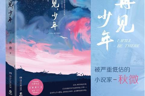 再见少年