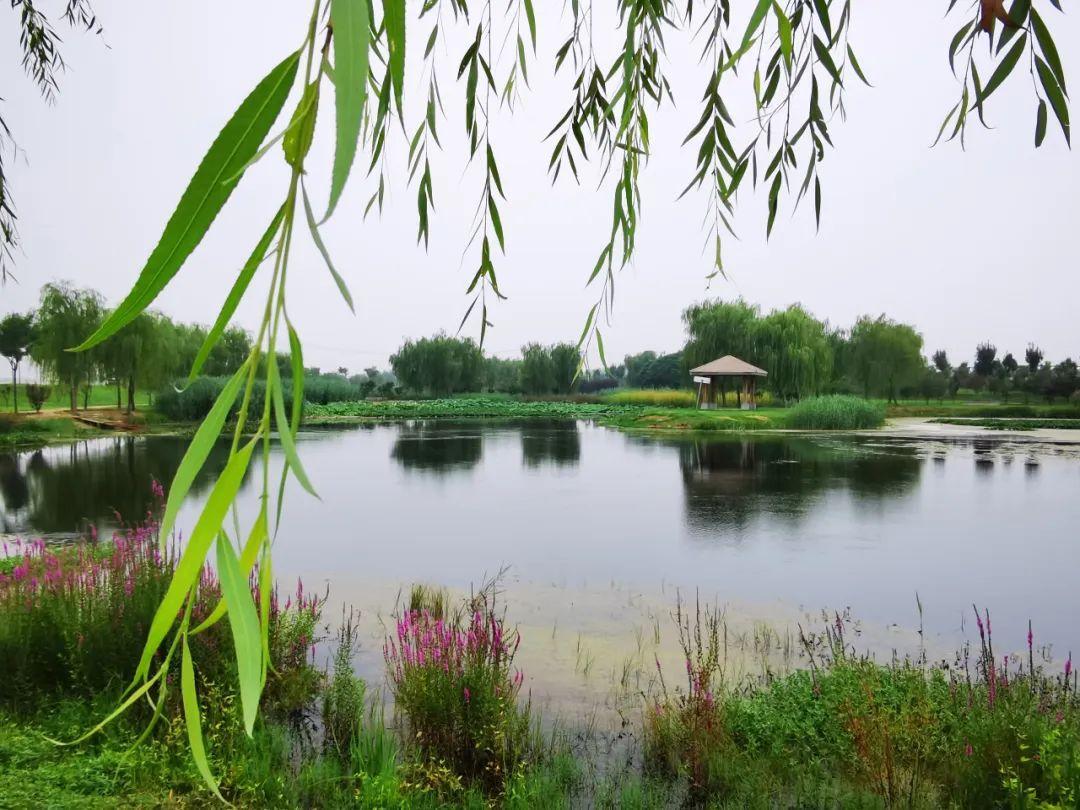 七里河湿地公园