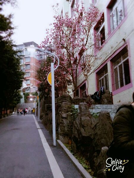  p>四川省内江市翔龙中学(neijiang xianglong middle school i>  /i>