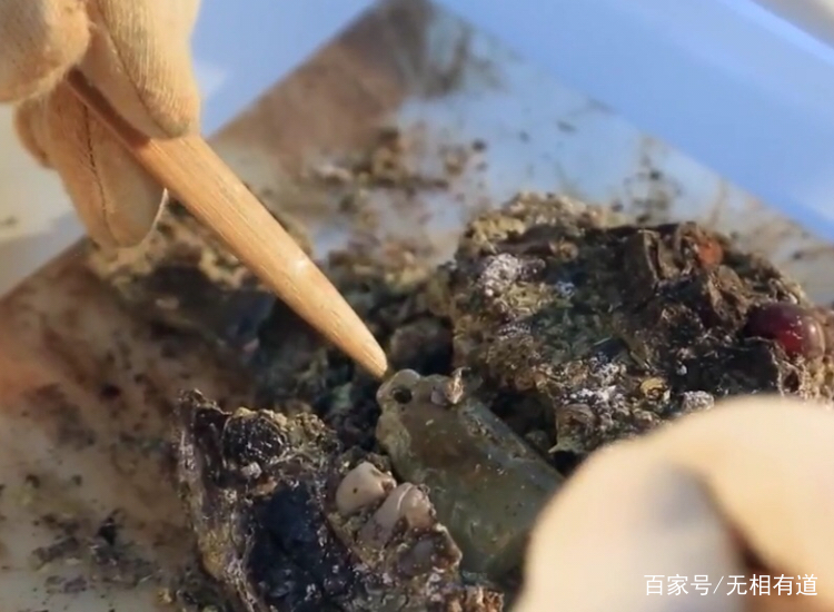 为什么玉蝉是玉琀，玉琀却未必是玉蝉？_百科TA说